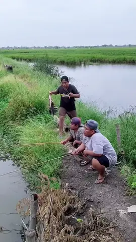 🐠🐠😋😋😋😂😂