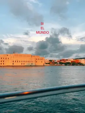 Right? #parati #fyp #foryoupage 