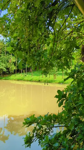 ভিডিও ভালো লাগলে আইডি থেকে ঘুরে আসুন 