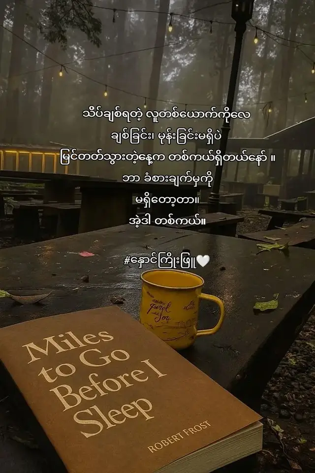 သိပ်ချစ်ရတဲ့လူတစ်ယောက်ကိုလေ ချစ်ခြင်းမုန်းခြင်းမရှိပဲ မြင်တတ်သွားတဲ့တစ်နေ့ဟာ သိပ်ကြောက်ဖို့ကောင်းတယ်နော်။ အဲ့လူဟာ ကိုယ့်ဘဝထဲမှာ သေလူသာသာပဲ။ အဲ့လူကိုချစ်ခဲ့တာတွေလည်း မရှိတော့သလို အမုန်းဆိုတာကိုလည်း ချုပ်ငြိမ်းနိုင်သွားတာ။ ပြန်တွေးကြည့်ရင် မယုံနိုင်စရာပဲ အဲ့လူဟာ အတိတ်တစ်ခုမှာ ကိုယ်သိပ်ချစ်ဖူးတဲ့သူတဲ့။ #crd  #foryoupage #fypviralシ゚ #fyp #fyppppppppppppppppppppppp 