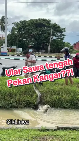 Hati-hati hampa wey, jangan leka main ayaq bah (Banjir) sangat.. Tengok-tengok sama kiri kanan ataih bawah😫 📍Depan MCD Kangar, Perlis  @KAYAK NAKAWAN PERLIS #perlisbanjir #infobanjir #ular #sawabatik #kayaknakawanperlis 