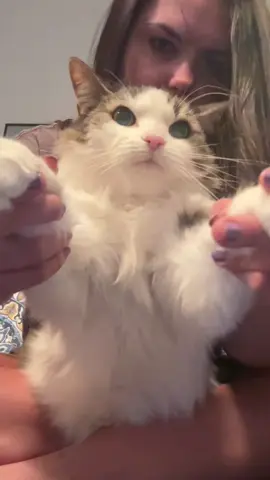 Her nickname is peanut btw #peanutjig #cat #smilingfriends #foryou #birthday 