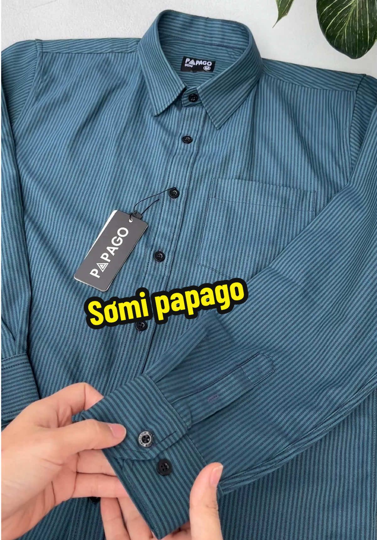 Áo sơmi trung niên#thoitrangnam #somi #sominam #lamdieulinh #papago 