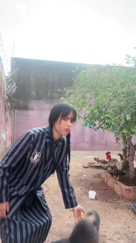 E gato 🐈‍⬛, cachorro 🐕, galinha 🐓 #wandinha #wednesday #merlina 