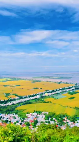 #CapCut Dân Bình Định lần đầu trải nghiệp vẻ đẹp của Châu Đốc An Giang #xuhuong #angiang #binhdinh77 