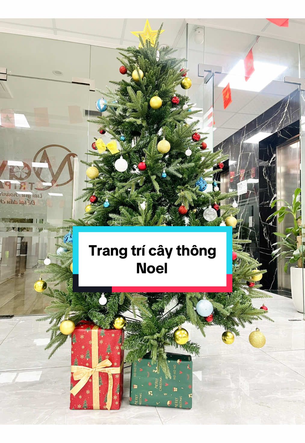 Công ty các bác trang trí Noel thế nào rồi 🎅 MayTrip chúng tớ đã lên 🌲 rùi đây #trangtricaythongnoel #giángsinh2026 