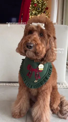 duffie wants to know your favorite 💭🎄♥️🎅🏻🧸