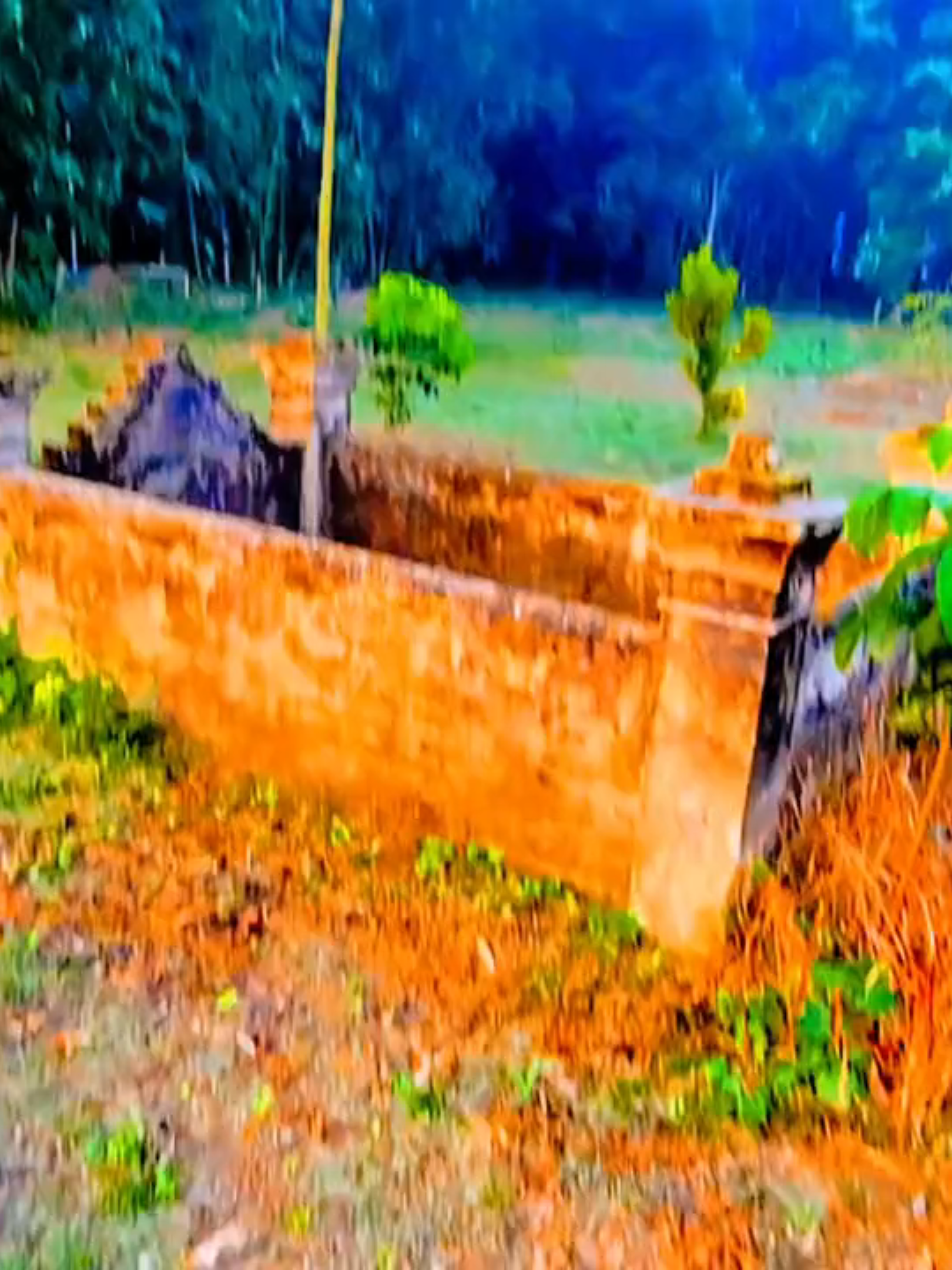 কোন SIM use করেন? .. .. .. .. #fyp #foryou #viral #rk #nature