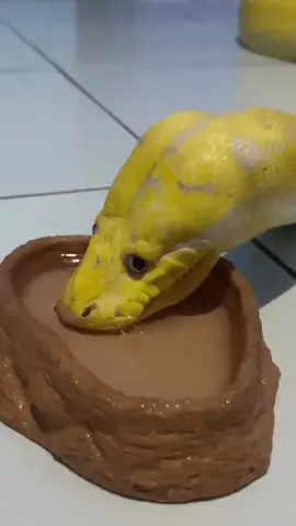 🤣🤣🤣 best caption wins 