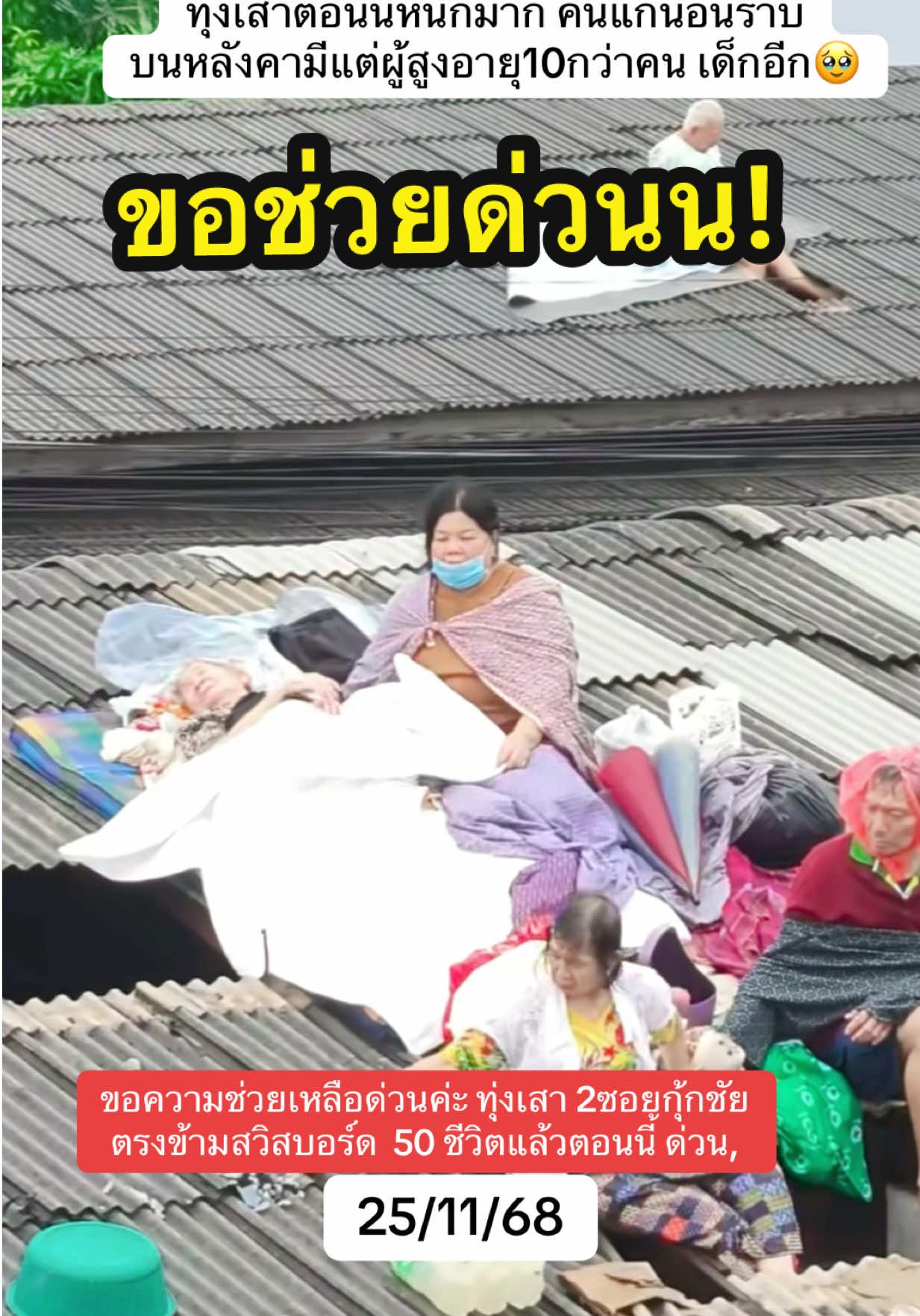 ขอช่วยด่วน 50 ชีวิต ติดบนหลังคา🥹🙏🇹🇭 #ขออนุญาตเจ้าของคลิป #น้ําท่วม68 #หาดใหญ่ #ร่วมช่วยกัน #ช่วยเหลือเพื่อนมนุษย์ด้วยกัน 