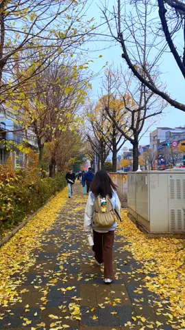 Autumn 🍂 #southkorea #autmn🍁 #korea #pakistani #fyppppppppppppppppppppppp 