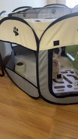 #คอกสัตว์เลี้ยงพับได้ #คอกสัตว์เลี้ยง 