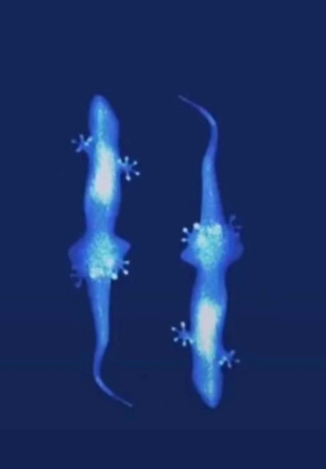 Single “ Cái thứ hai “ ra mắt chủ nhật tuần này 30.11.2025.  Gửi những lời chúc tốt đẹp nhất đến Thắng, cố lên nào