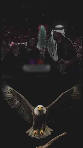 #CapCut #رشيد_عساف🖤 #مسلسلات_بدوية_قديمة #فلاح #غليص_ولد_رماح_دواس_الظلماء🌚⚔️_ 