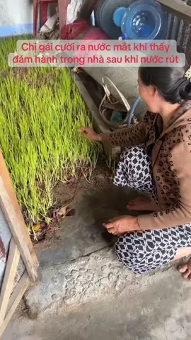 Chị gái cười ra nước mắt khi trúng đám hành sau lũ 🤣 #lulutmientrung #lulichsu2025 #luphuyen2025 #lulutphuyenkhanhhoa 