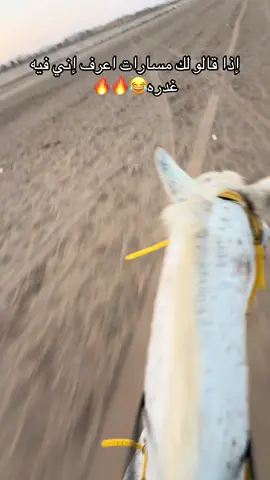 معليك مسارات😂😂#ماشاء_الله_تبارك_الله #خيل_وخياله🐎 #مربط عز المغيرات 