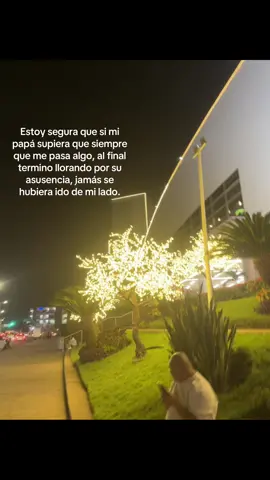 💔#hastaelcielo #dezcansaenpaz #papa #miangeldelcielo #fyp 