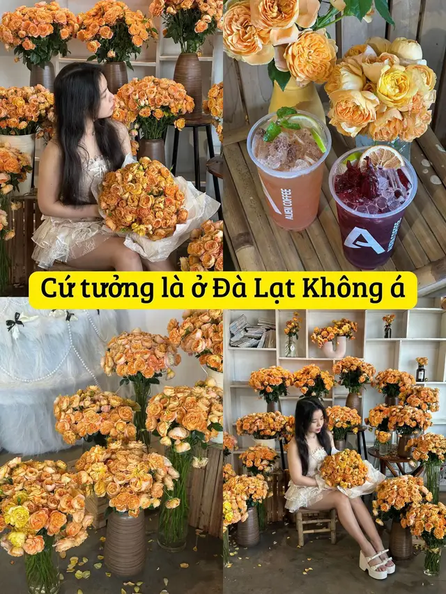 Mình tìm được đúng quán ghê, thích hoa nữa 🥰  #GSM018 #ghiensaugon #AlienCoffee #HoaHongCam #DaLatCheckinTaiSG