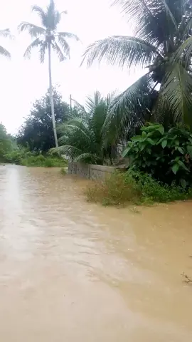 banjir, desa Blang wue baroh selasa, 25 November 2025 #banjir #lhokseumawe  #fyppppppppppppppppppppppp 