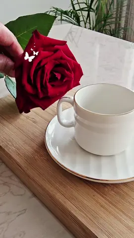 #قهوتي_معشوقتي #صباحكم_سعادهـ🌸🍃 #تصويري #قهوتي #فيروز_و_فنجان_قهوة 