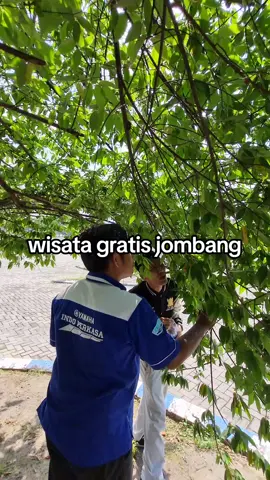 wisata gratis di jombang #jombang #jombang24jam #jombangtiktok #wargajombang #bravo 