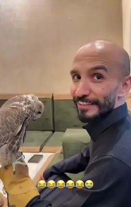 #ابوحصه_ابوعجيب 