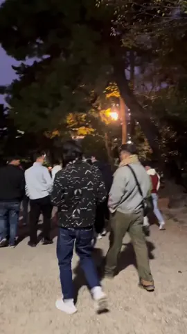 #sudurpashimnepal🇳🇵  #nagoyajapan🇯🇵  #dhangadhimuser @KulRawal112 @Tilak Bohara @LyngGang ☮️ @Sushilneupane624 @Cha Kra Dhami @Manoj Mahara 🇳🇵🇯🇵 @Mr.Rawal @JANAK🇯🇵 @✌️ 75 