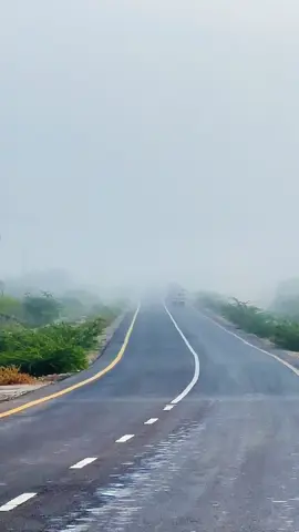 @Caanka_Puntlnd📍🇸🇱👿 @sallo valloges @Qadan Qaran 💚🤍❤️💪🏻 @sheekhajacaylka_cabdilahi12 @MUSHARAXAD GOOSHA ISAAQ💵🐄🦍 @Xaaji Mideeye 