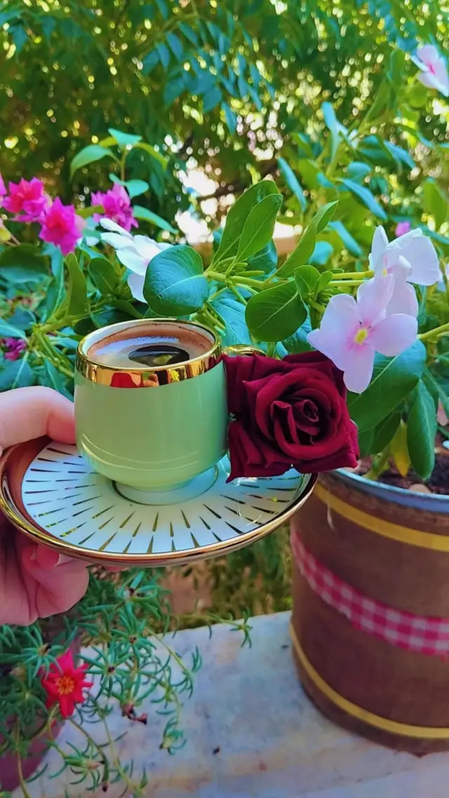 دير _بالك _ترجع _ع _سوريا 🤣🤣🤣 #شعب_الصيني_ماله_حل😂😂  #اعادة_النشر🔃  #اكسبلور 