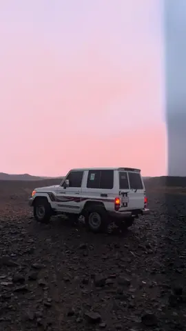 #تبوك_الورد_تبوك_تيماء_ضباء_حقل 