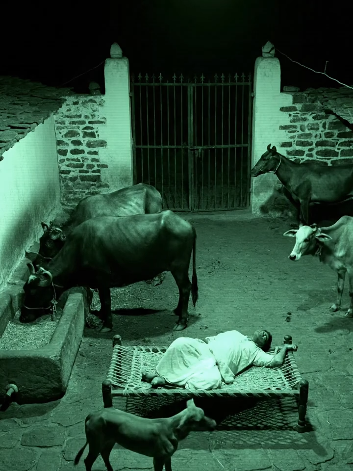 Haveli Gate Flies Open at Night! CCTV Caught This #cctv #viral #village #haveli #animals #nightvision #scarymoment #trend #caughtoncamera #desivideo