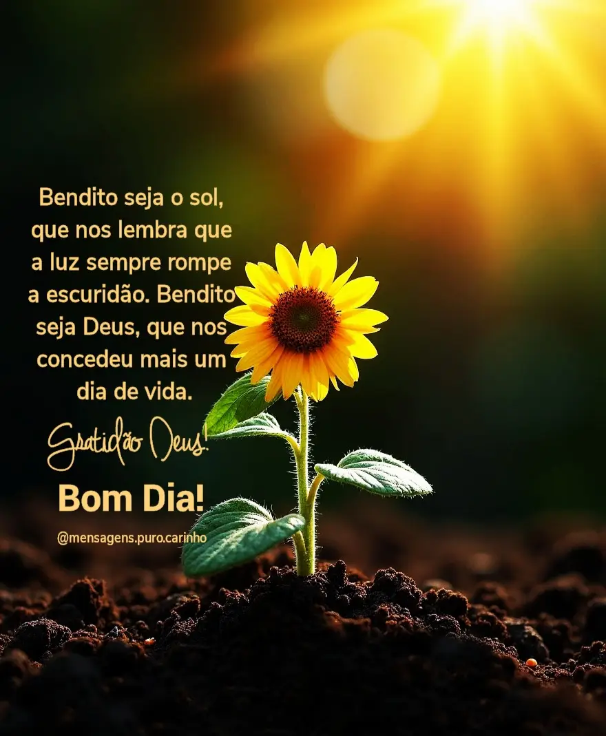 °⏝ི⋮ྀ⏝ི⋮Bom Dia ⋮ྀ⏝ི⋮ྀ⏝° #boanoite #mensagemdeboanoite  #mensagemdebomdia #boanoite #mensagempurocarinho 