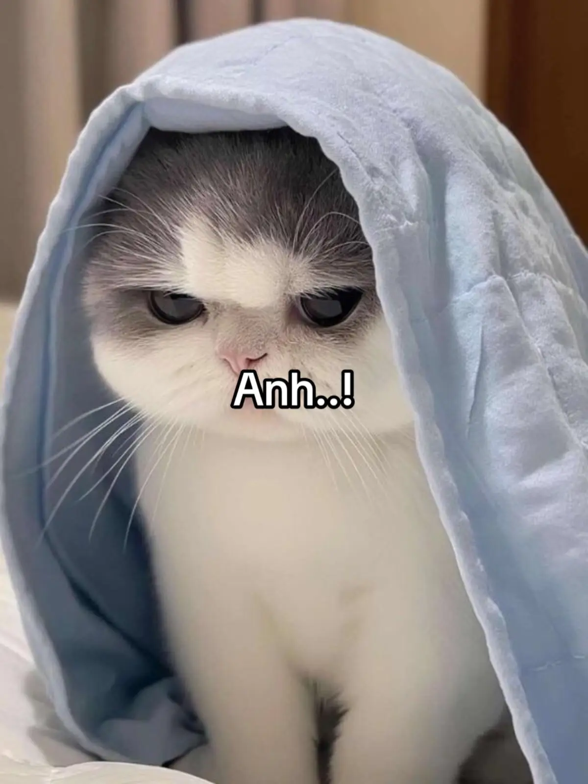 Anhthichem#pminh #story #hanhphuc #yeuemmoingay❤️ #xhtiktok 