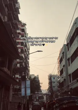 আমি হারিয়ে গেলে আমার মতো শত বার বেহায়া হয়ে কেউ আপনাকে চাই