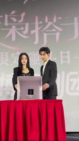 #chenxingxu #dilrabadilmurat #dilraba #dilireba #loveontheturquoiseland