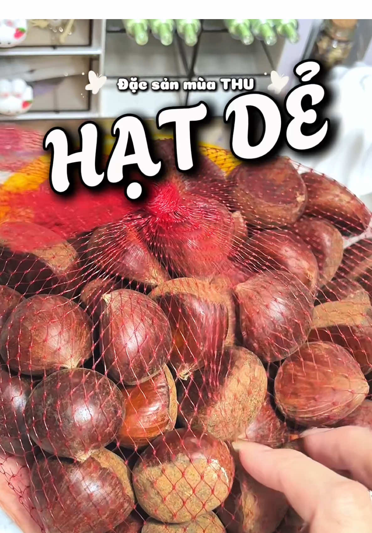 Hạt dẻ đặc sản mùa thu, lướt đâu cũng gặp #mukbangvideo #mukbang #hatde #hatdetuoi 