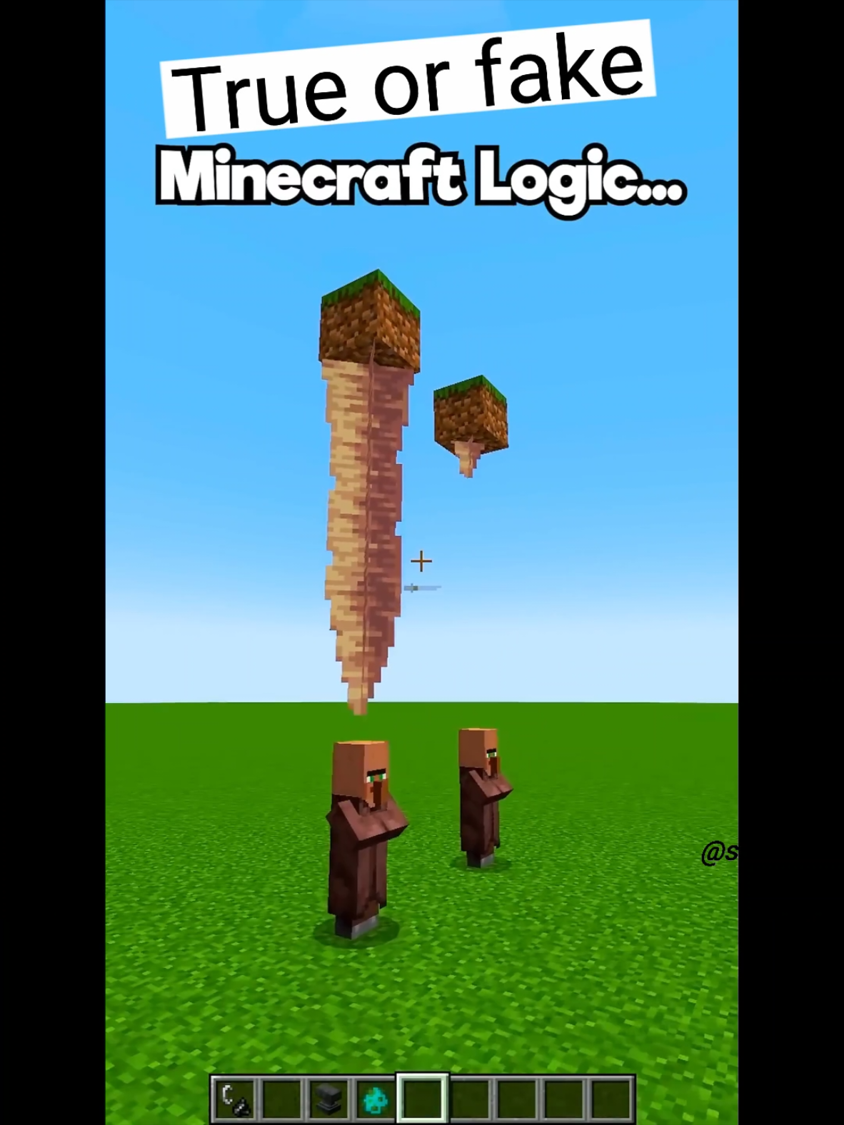 Real or Fake? Testing the Logic! #viral #Minecraft #shorts