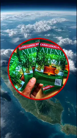 Bibit Cabe Ateng 2025 isi 2500. EXPIRED DATE 11/2027