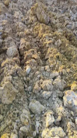 salagu heula @Adrian 