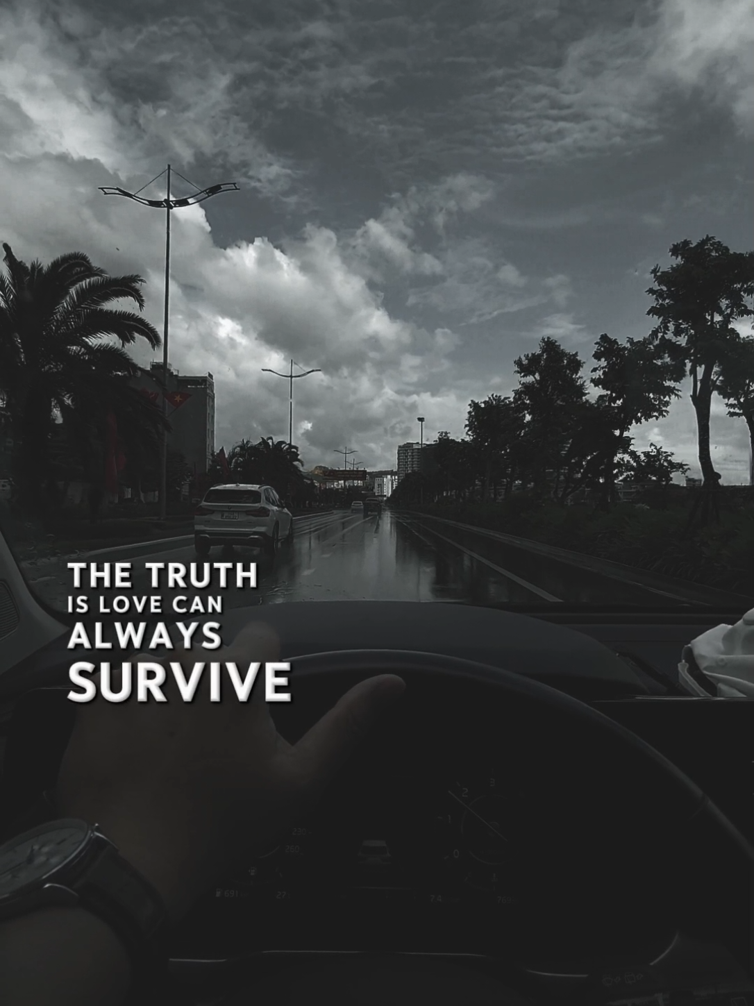 I replay the moments every word every sigh, the truth is love can always survive... #lovewecantrepair #postmalone #ft #sia #CapCut 