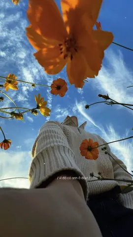 Thay vì đi tìm nắng anh sẽ chọn chuyển mình thành mưa để được bên em 🫠🫠🫠 #anvu #demo 