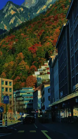 Beautiful Switzerland 🇨🇭#landscape #Beautiful #switzerland🇨🇭 #schweiz🇨🇭 