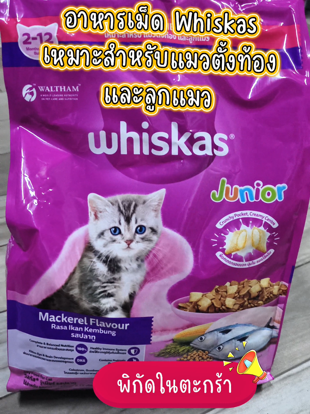 ม๊ามี๊คนไหนกำลังหาอาหารเม็ดให้ลูกแมวอยู่ มาดูตัวนี้เลยค่ะ Whiskas ลูกแมว สูตรเฉพาะสำหรับน้องอายุ 2–12 เดือน #อาหารเม็ด #อาหารแมวแบบเม็ด #อาหารแมว #อาหารลูกแมว #whiskas 