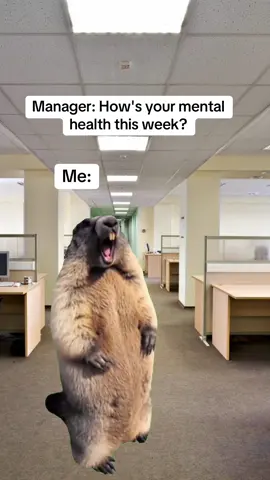 It’s long gone 😭😭 #workmemes #memes #fyp #memestiktok #work 