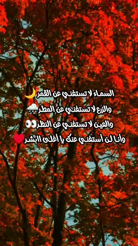 أحبك ياغلي❤ #Y♥R  #كلمات_حب_وغرام  #عبارات  #اكسبلور 