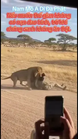 #adidaphat🙏🙏🙏 #viral #niemphat #xuhuong #hoathuongtinhkhong 