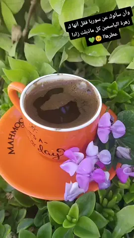 #ينصور دينك خالد الحلاق وآن سألوك عن سوريا فقل أنها ك زهرة الياسمين كل ماذبلت زادا عطرهاا 🥺💚#تصميم_فيديوهات🎶🎤🎬تصميمي🔥 #تصويري_احترافي_الاجواء👌🏻🕊😴 #لايك_متابعه_حركة_الاكسبلور❤🦋 #اكسبلوووووررر🌷💕💓 