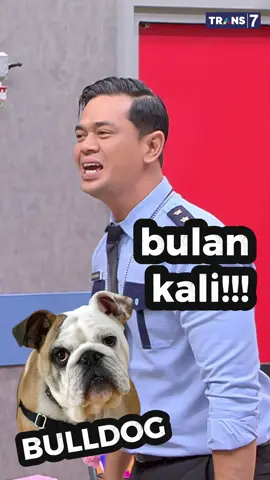 Air Susu Dibalas Air Purifier 🍃🎐 Coba komen peribahasa nyeleneh apalagi versi kalian 😆👇🏼 #LaporPakTRANS7 Malam ini! Senin-Jumat jam 21.30 WIB #diTRANS7aja