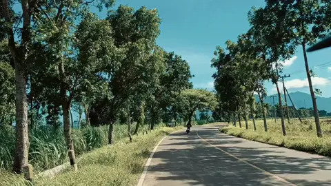 #glenmore #glenmorebanyuwangi 