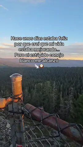 Todos los caminos llevan a Roma #conejos #roma #todosloscaminos #portland 